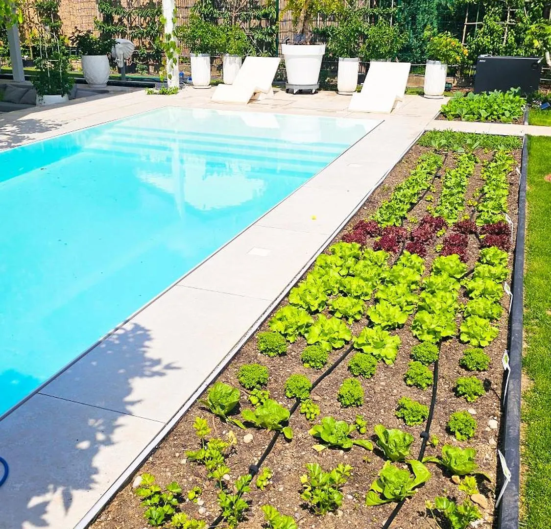 Apartment Luxurious Large Home With Pool, Garden, Koi Pond Munich