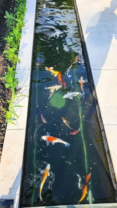 Luxurious Large Home With Pool, Garden, Koi Pond Múnich 0*,